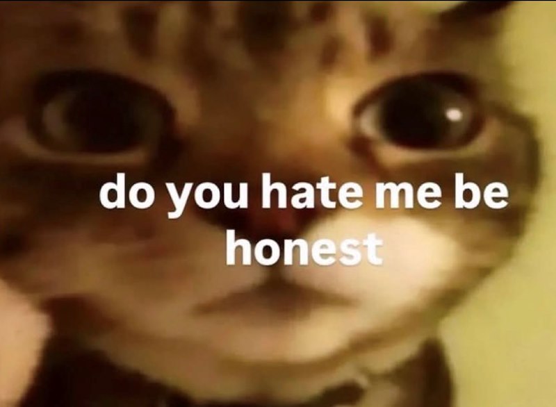 do you hate me be honest