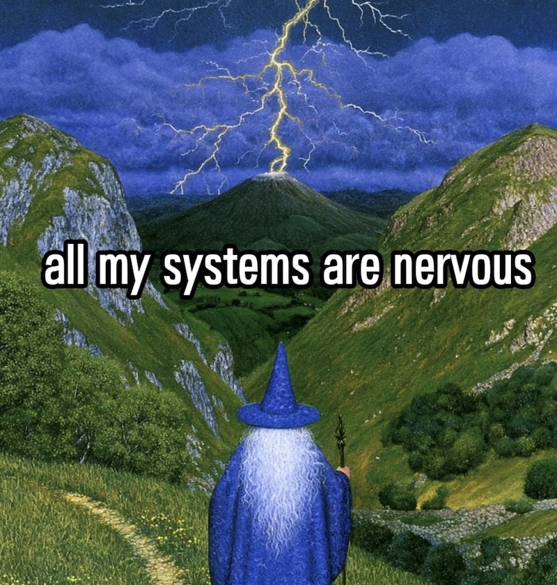 all my systems are nervous