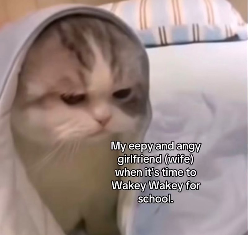 My eepy and angy girlfriend (wife) when it's time to Wakey Wakey for school.