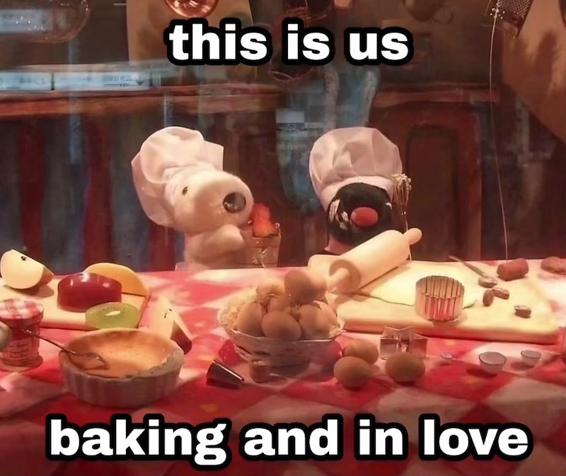 Cheezburger Image 10668351232