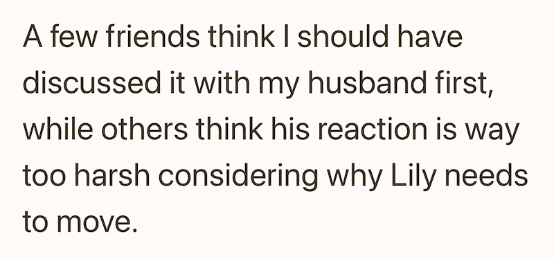 A few friends think I should have discussed it with my husband first, while others think his reaction is way too harsh considering why Lily needs to move.