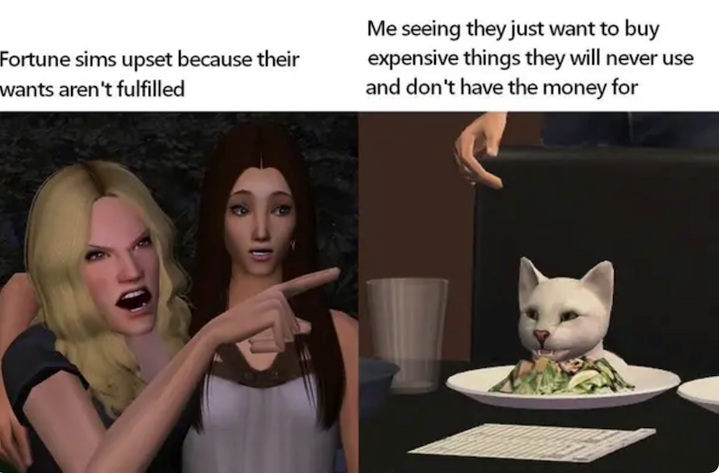 Fortune sims upset because their wants aren't fulfilled Me seeing they just want to buy expensive things they will never use and don't have the money for