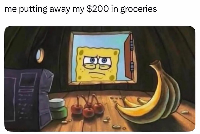 me putting away my $200 in groceries