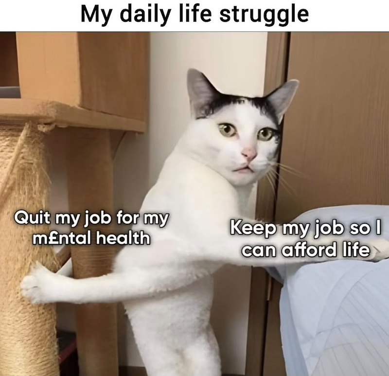 My daily life struggle Quit my job for my m£ntal health Keep my job so l can afford life