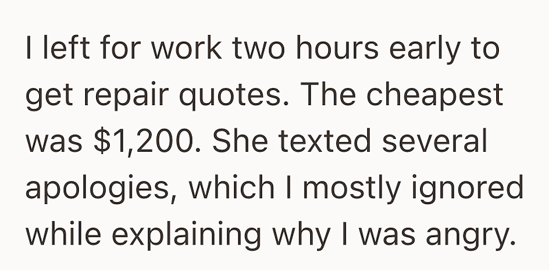 I left for work two hours early to get repair quotes. The cheapest was $1,200. She texted several apologies, which I mostly ignored while explaining why I was angry.
