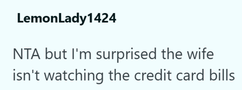 LemonLady1424 NTA but I'm surprised the wife isn't watching the credit card bills