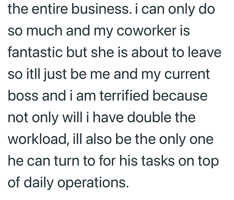the entire business. i can only do so much and my coworker is fantastic but she is about to leave so itll just be me and my current boss and i am terrified because not only will i have double the workload, ill also be the only one he can turn to for his tasks on top of daily operations.