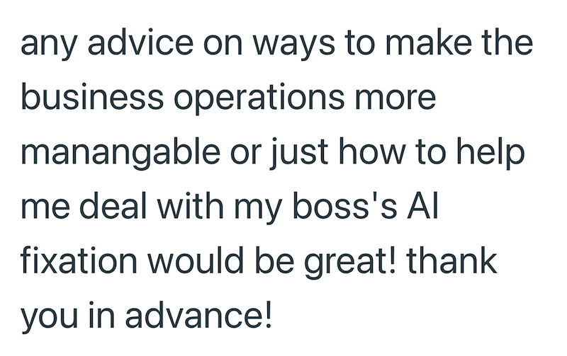 any advice on ways to make the business operations more manangable or just how to help me deal with my boss's Al fixation would be great! thank you in advance!