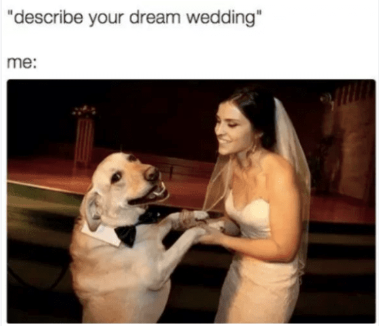 "describe your dream wedding" me: