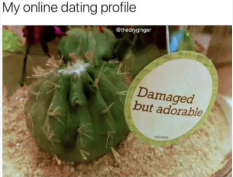 My online dating profile thedryginger Damaged but adorable