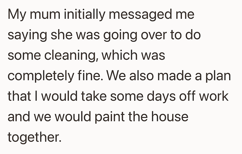 My mum initially messaged me saying she was going over to do some cleaning, which was completely fine. We also made a plan that I would take some days off work and we would paint the house together.
