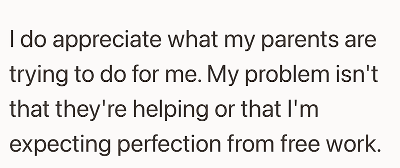 I do appreciate what my parents are trying to do for me. My problem isn't that they're helping or that I'm expecting perfection from free work.