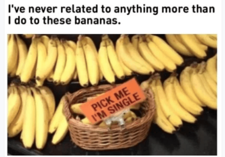 I've never related to anything more than I do to these bananas. PICK ME I'M SINGLE