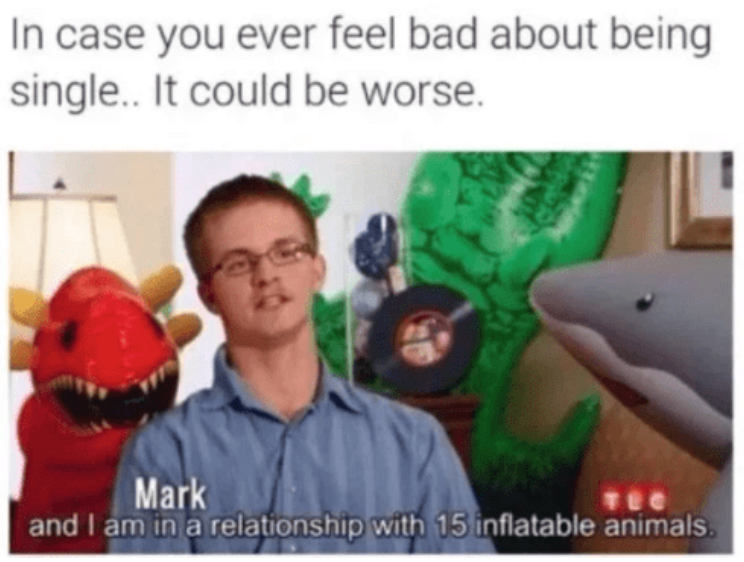 In case you ever feel bad about being single.. It could be worse. Mark TEC and I am in a relationship with 15 inflatable animals.