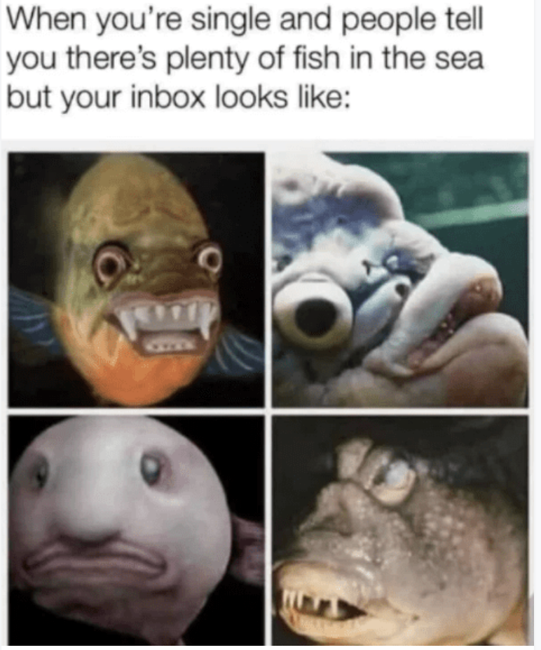 When you're single and people tell you there's plenty of fish in the sea but your inbox looks like: