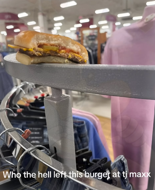 Cheezburger Image 10668425216
