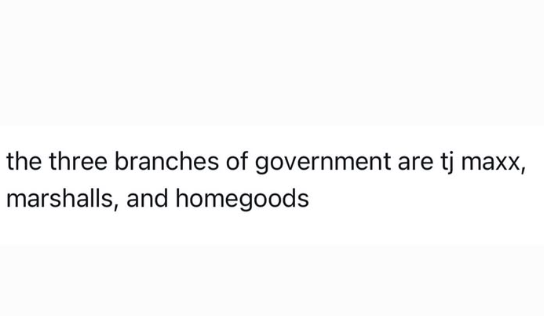 the three branches of government are tj maxx, marshalls, and homegoods