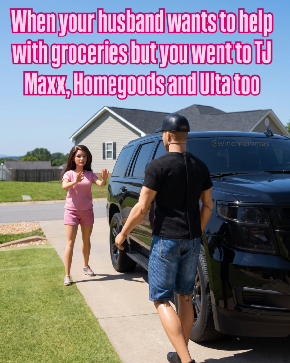 When your husband wants to help with groceries but you went to TJ Maxx, Homegoods and Ulta too 同 EL @winomommas