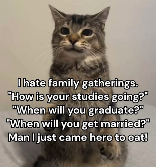 I hate family gatherings. "How is your studies going?" "When will you graduate?" "When will you get married?" Man I just came here to eat!