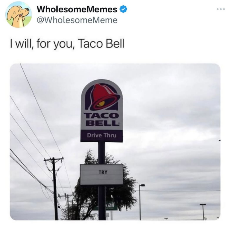 WholesomeMemes @WholesomeMeme I will, for you, Taco Bell TACO BELL Drive Thru TRY kell