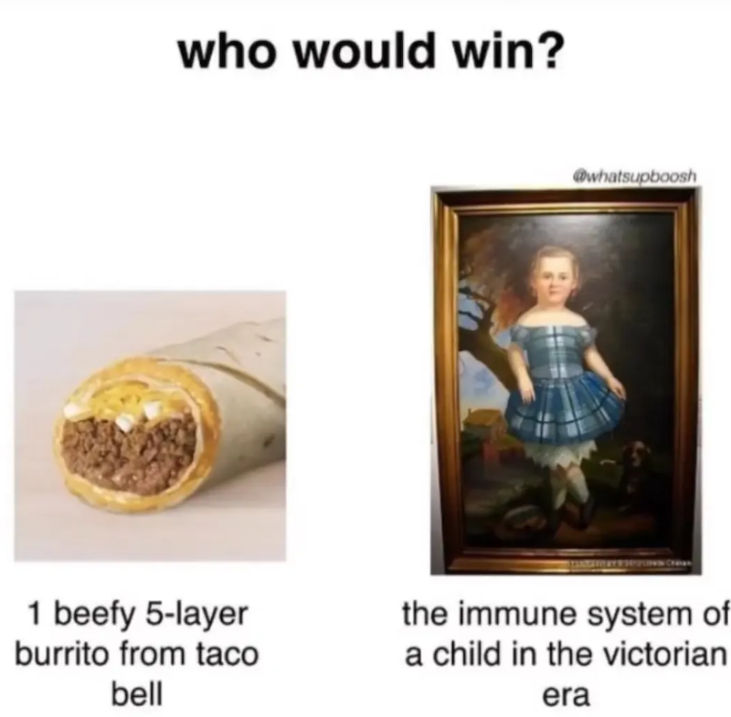 Cheezburger Image 10668459008