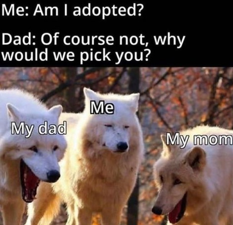 Me: Am I adopted? Dad: Of course not, why would we pick you? My dad Me My mom
