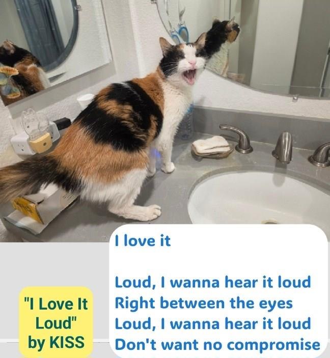 "I Love It Loud" by KISS I love it Loud, I wanna hear it loud Right between the eyes Loud, I wanna hear it loud Don't want no compromise