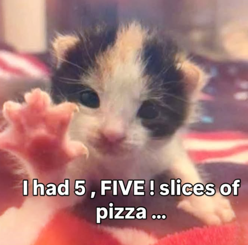 I had 5, FIVE! slices of pizza ...