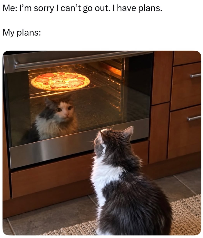 Me: I'm sorry I can't go out. I have plans. My plans: