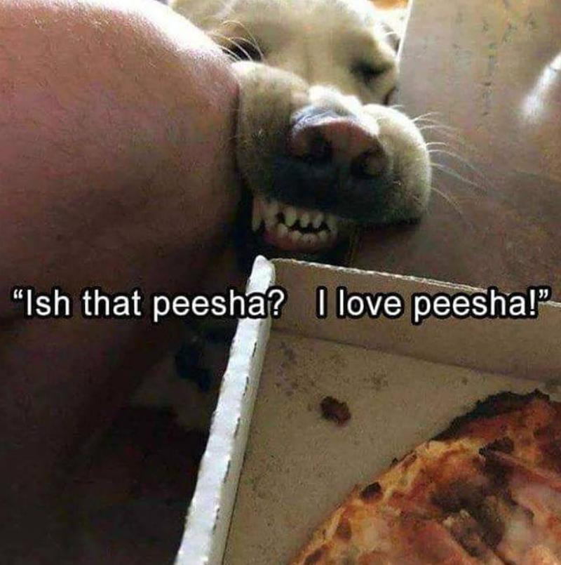 Cheezburger Image 10668465152