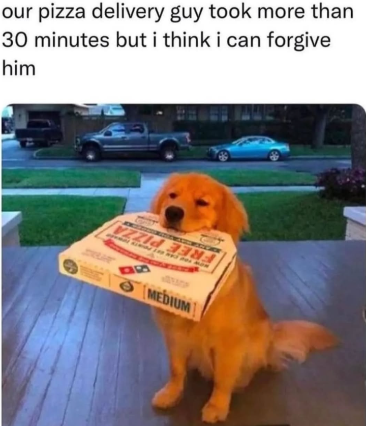 Cheezburger Image 10668465408