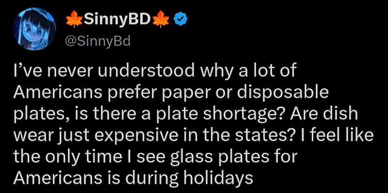 SinnyBD @SinnyBd I've never understood why a lot of Americans prefer paper or disposable plates, is there a plate shortage? Are dish wear just expensive in the states? I feel like the only time I see glass plates for Americans is during holidays