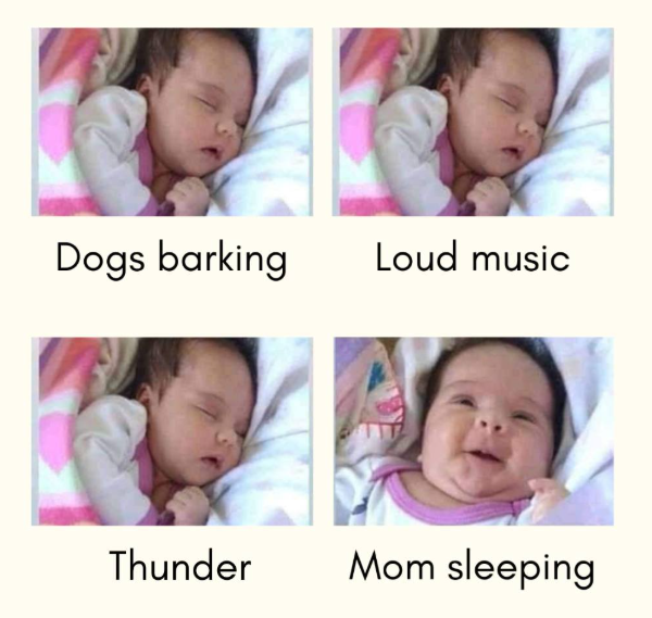 Dogs barking Loud music Thunder Mom sleeping