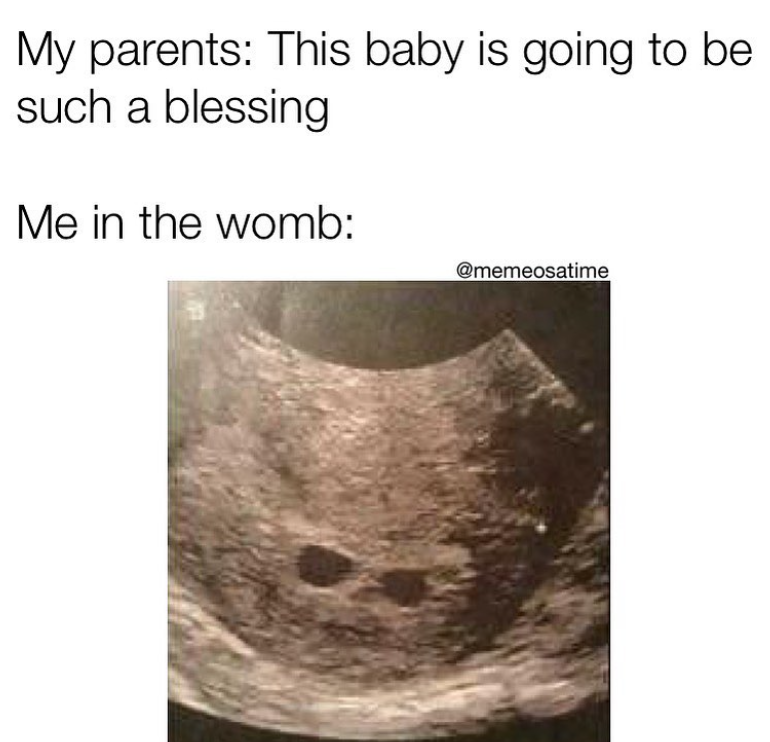 My parents: This baby is going to be such a blessing Me in the womb: @memeosatime