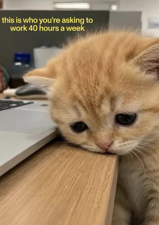 this is who you're asking to work 40 hours a week