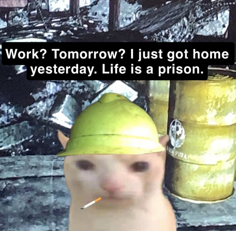 Work? Tomorrow? I just got home yesterday. Life is a prison. PURA