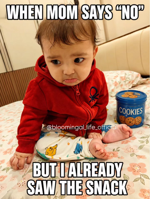 WHEN MOM SAYS "NO" @bloomingal_life_official COOKIES BUT I ALREADY SAW THE SNACK