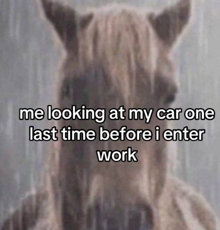 me looking at my car one last time before i enter work