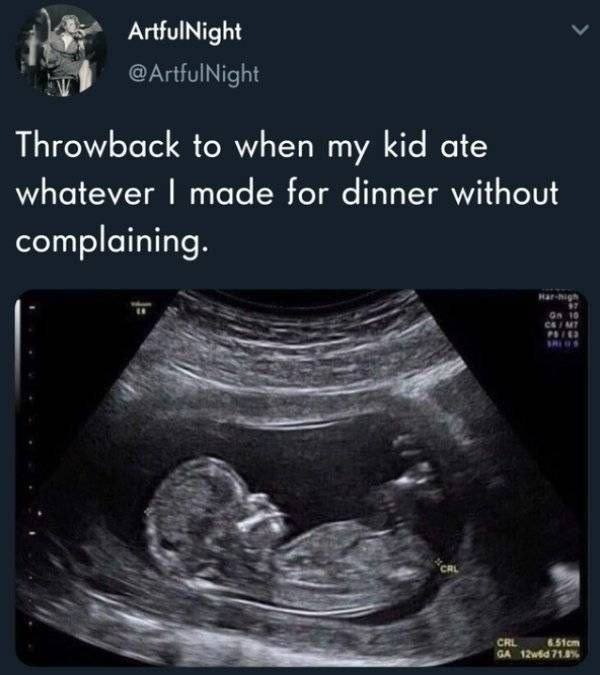 ArtfulNight @ArtfulNight Throwback to when my kid ate whatever I made for dinner without complaining. Har-high 97 GN 10 CS/ MT PRILO SHIS 6.51cm CRL GA 12w6d 71.8%