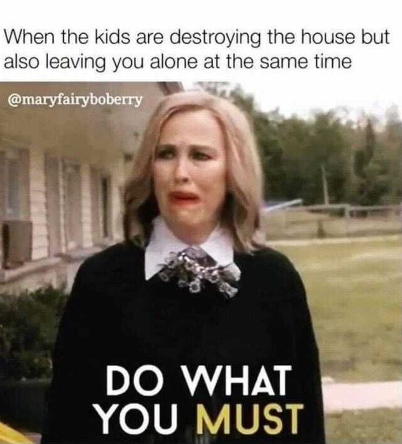 When the kids are destroying the house but also leaving you alone at the same time @maryfairyboberry DO WHAT YOU MUST