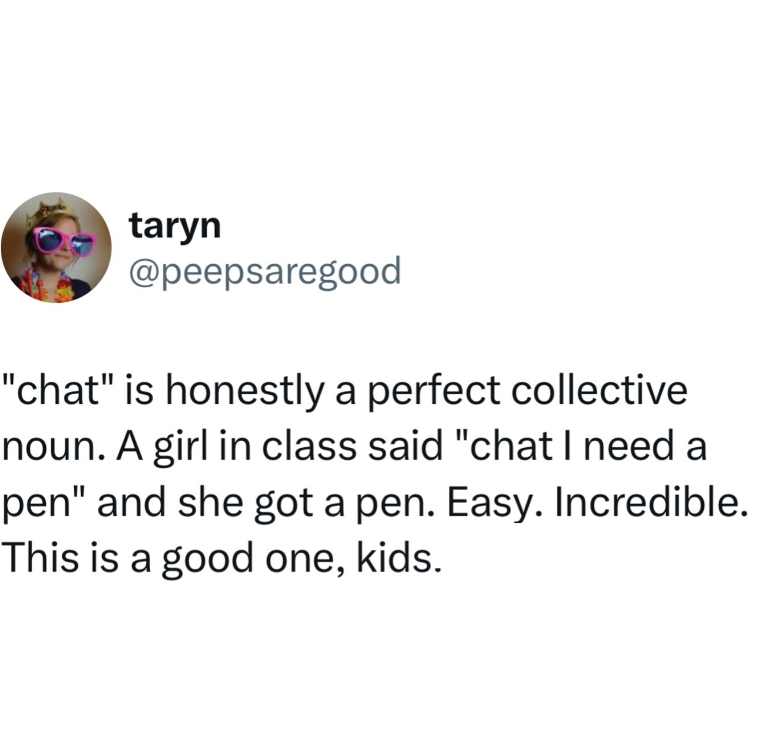 taryn @peepsaregood "chat" is honestly a perfect collective noun. A girl in class said "chat I need a pen" and she got a pen. Easy. Incredible. This is a good one, kids.