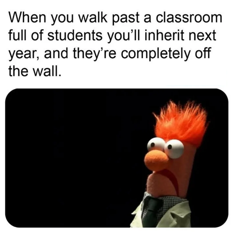 When you walk past a classroom full of students you'll inherit next year, and they're completely off the wall.
