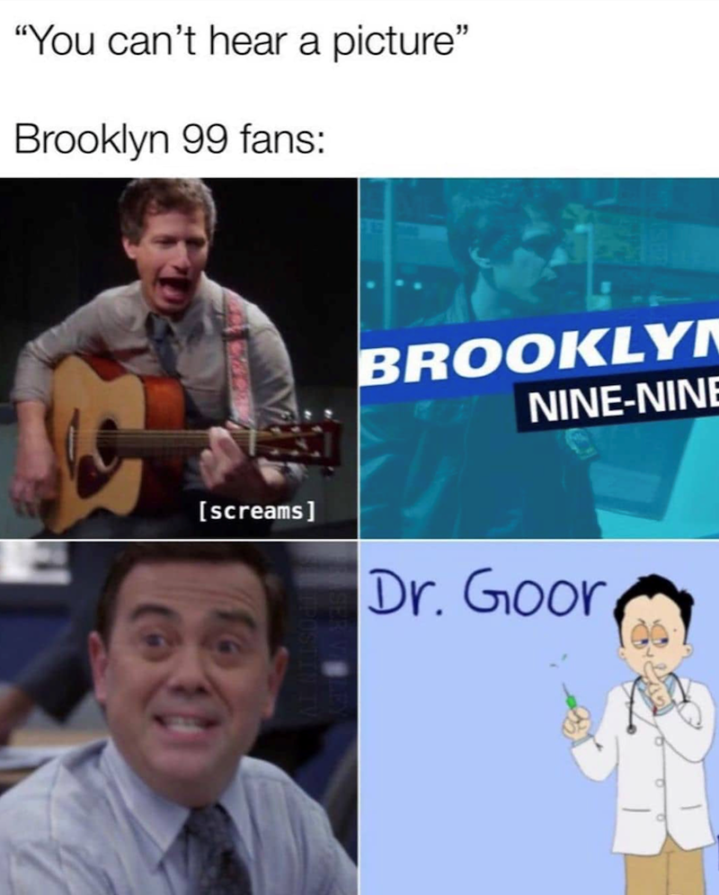 "You can't hear a picture" Brooklyn 99 fans: [screams] BROOKLYN NINE-NINE Dr. Goor