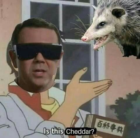 Is this Cheddar? | 百科事典