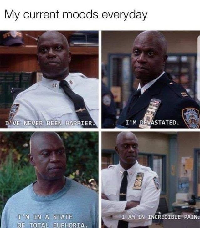 My current moods everyday It I'VE NEVER BEEN HAPPIER. I'M DEVASTATED. I'M IN A STATE OF TOTAL EUPHORIA. I AM IN INCREDIBLE PAIN.