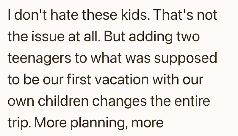 I don't hate these kids. That's not the issue at all. But adding two teenagers to what was supposed to be our first vacation with our own children changes the entire trip. More planning, more
