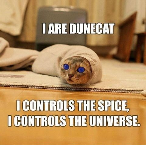 I ARE DUNECAT I CONTROLS THE SPICE, I CONTROLS THE UNIVERSE.