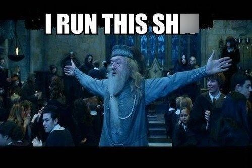 I RUN THIS SHI 40