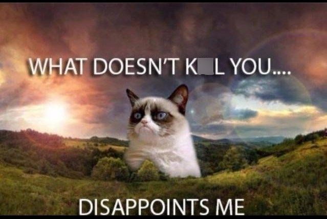 WHAT DOESN'T K L YOU.... DISAPPOINTS ME