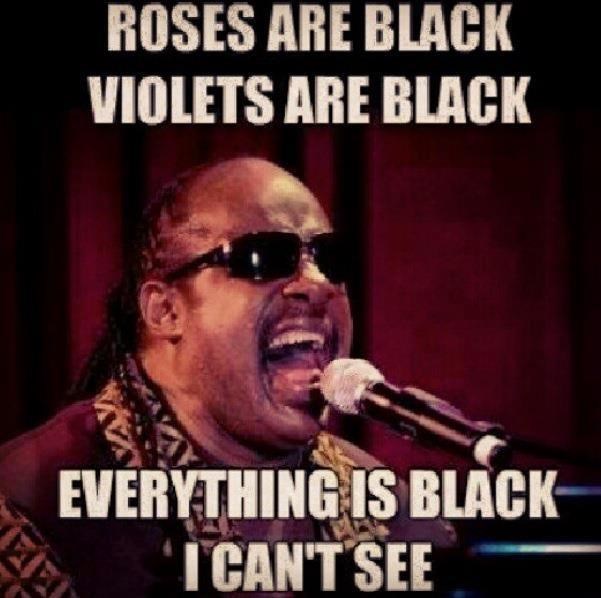 ROSES ARE BLACK VIOLETS ARE BLACK EVERYTHING IS BLACK I CAN'T SEE